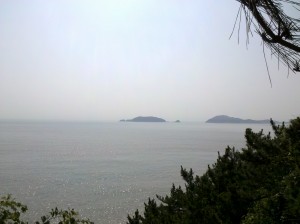 远观洛迦山